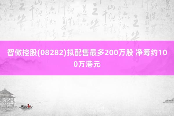 智傲控股(08282)拟配售最多200万股 净筹约100万港元