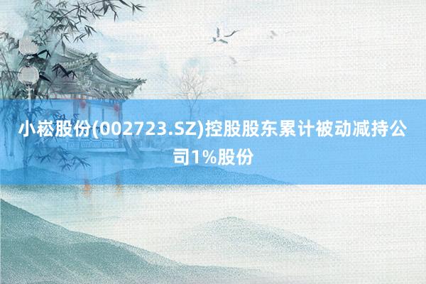 小崧股份(002723.SZ)控股股东累计被动减持公司1%股份