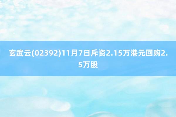 玄武云(02392)11月7日斥资2.15万港元回购2.5万股