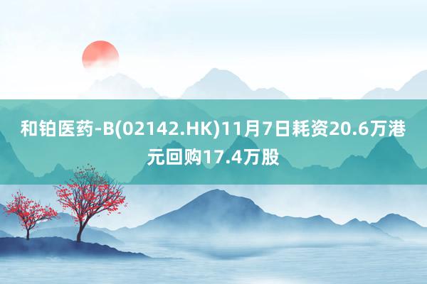 和铂医药-B(02142.HK)11月7日耗资20.6万港元回购17.4万股