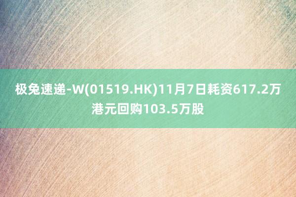 极兔速递-W(01519.HK)11月7日耗资617.2万港元回购103.5万股