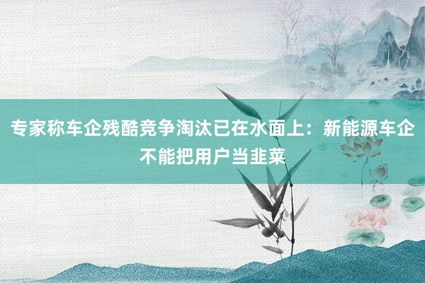 专家称车企残酷竞争淘汰已在水面上：新能源车企不能把用户当韭菜