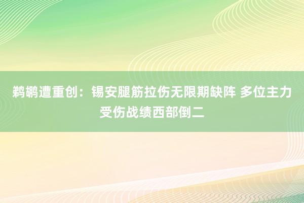 鹈鹕遭重创：锡安腿筋拉伤无限期缺阵 多位主力受伤战绩西部倒二