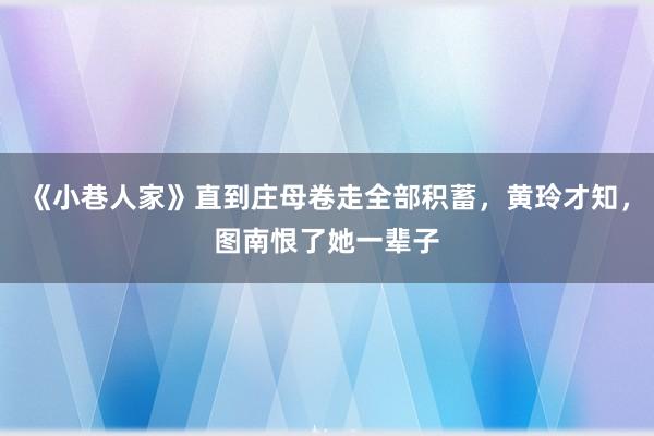 《小巷人家》直到庄母卷走全部积蓄，黄玲才知，图南恨了她一辈子