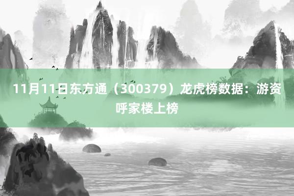 11月11日东方通（300379）龙虎榜数据：游资呼家楼上榜