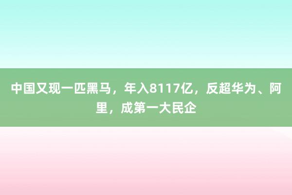 中国又现一匹黑马，年入8117亿，反超华为、阿里，成第一大民企