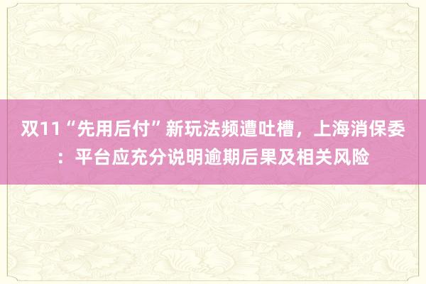 双11“先用后付”新玩法频遭吐槽，上海消保委：平台应充分说明逾期后果及相关风险