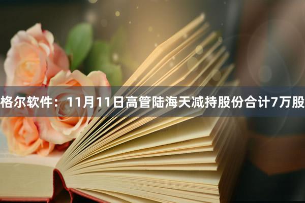 格尔软件：11月11日高管陆海天减持股份合计7万股