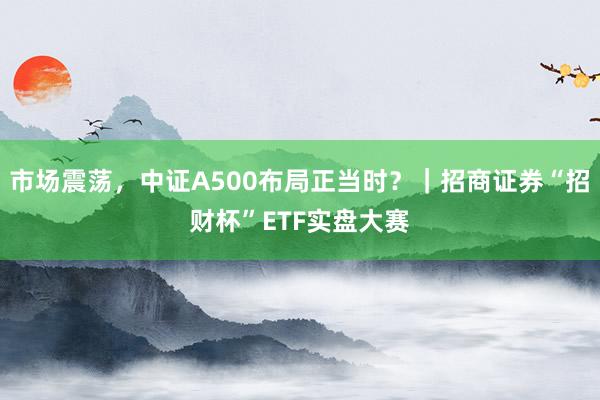 市场震荡，中证A500布局正当时？｜招商证券“招财杯”ETF实盘大赛