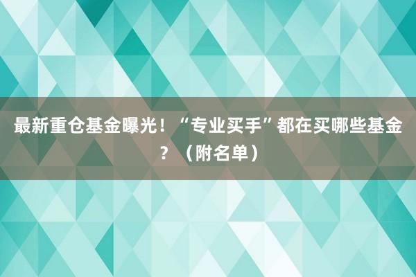 最新重仓基金曝光！“专业买手”都在买哪些基金？（附名单）