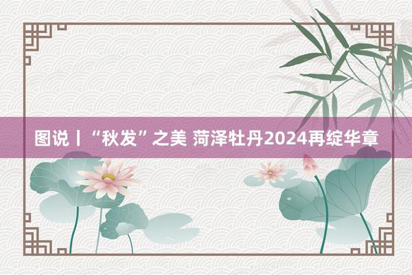 图说丨“秋发”之美 菏泽牡丹2024再绽华章