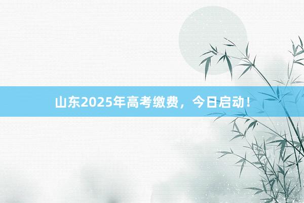 山东2025年高考缴费，今日启动！