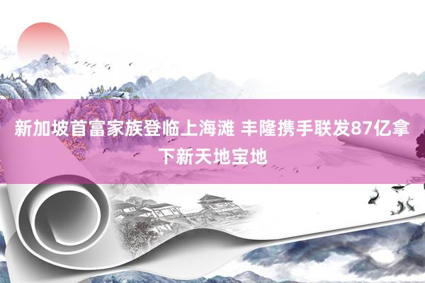 新加坡首富家族登临上海滩 丰隆携手联发87亿拿下新天地宝地