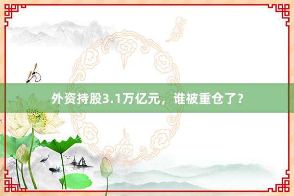 外资持股3.1万亿元，谁被重仓了？