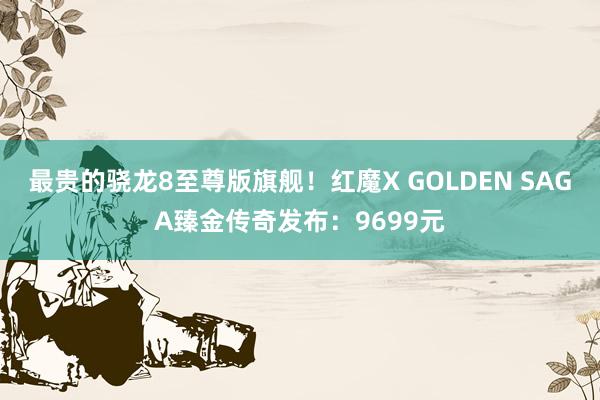 最贵的骁龙8至尊版旗舰！红魔X GOLDEN SAGA臻金传奇发布：9699元