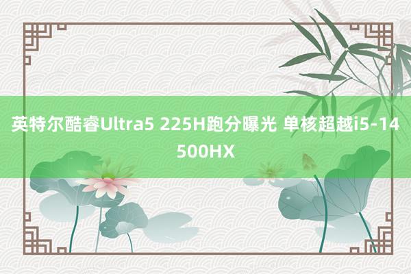 英特尔酷睿Ultra5 225H跑分曝光 单核超越i5-14500HX