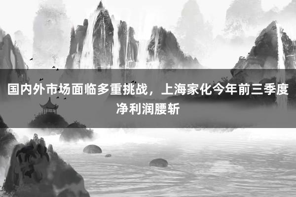 国内外市场面临多重挑战，上海家化今年前三季度净利润腰斩