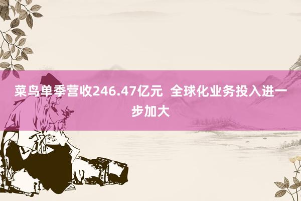 菜鸟单季营收246.47亿元  全球化业务投入进一步加大