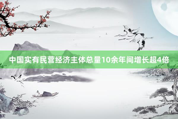 中国实有民营经济主体总量10余年间增长超4倍