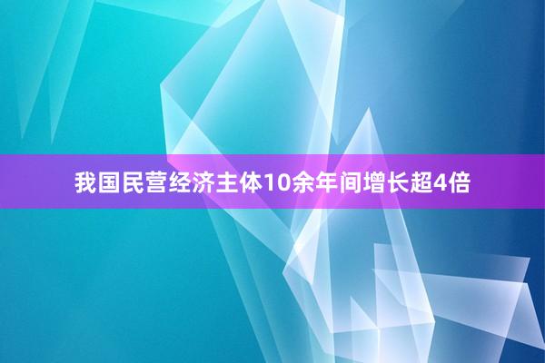 我国民营经济主体10余年间增长超4倍