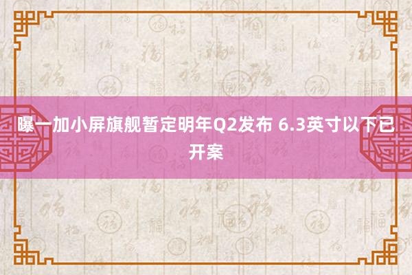 曝一加小屏旗舰暂定明年Q2发布 6.3英寸以下已开案