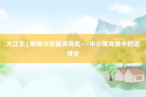 大江东 | 触摸市场赢得商机——中小展商眼中的进博会