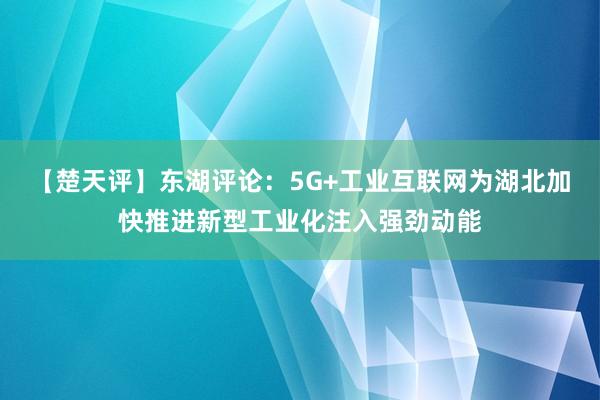 【楚天评】东湖评论：5G+工业互联网为湖北加快推进新型工业化注入强劲动能