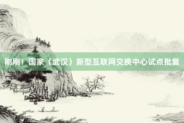 刚刚！国家（武汉）新型互联网交换中心试点批复