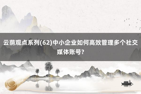 云荫观点系列(62)中小企业如何高效管理多个社交媒体账号?