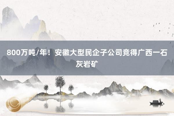 800万吨/年！安徽大型民企子公司竞得广西一石灰岩矿