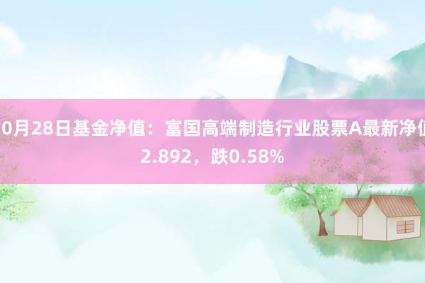 10月28日基金净值：富国高端制造行业股票A最新净值2.892，跌0.58%