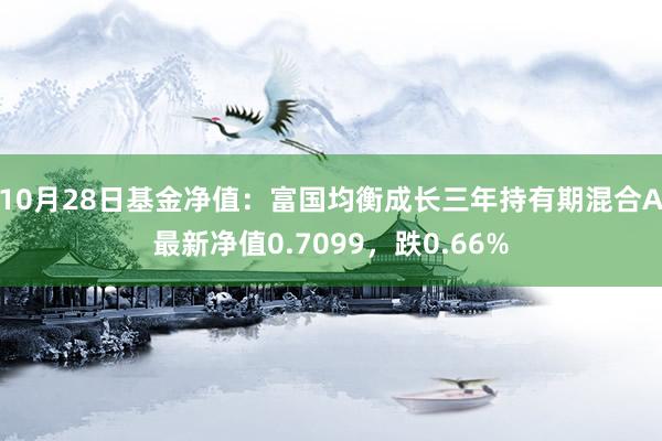 10月28日基金净值：富国均衡成长三年持有期混合A最新净值0.7099，跌0.66%