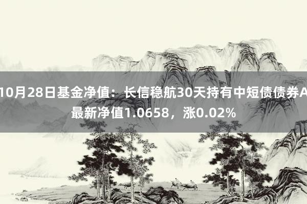 10月28日基金净值：长信稳航30天持有中短债债券A最新净值1.0658，涨0.02%