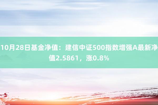 10月28日基金净值：建信中证500指数增强A最新净值2.5861，涨0.8%