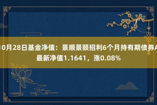 10月28日基金净值：景顺景颐招利6个月持有期债券A最新净值1.1641，涨0.08%