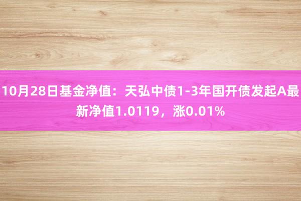 10月28日基金净值：天弘中债1-3年国开债发起A最新净值1.0119，涨0.01%