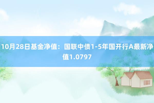 10月28日基金净值：国联中债1-5年国开行A最新净值1.0797