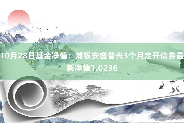 10月28日基金净值：浦银安盛普兴3个月定开债券最新净值1.0236