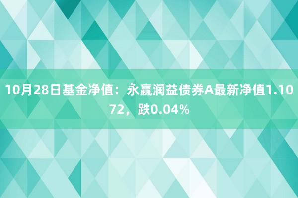 10月28日基金净值：永赢润益债券A最新净值1.1072，跌0.04%