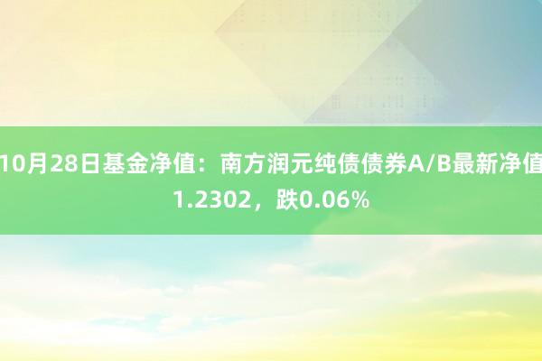 10月28日基金净值：南方润元纯债债券A/B最新净值1.2302，跌0.06%