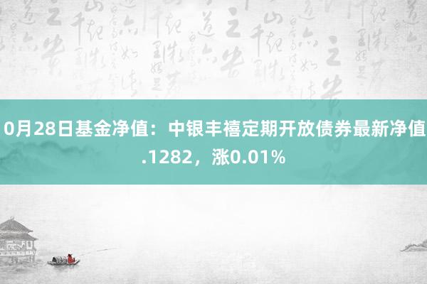 10月28日基金净值：中银丰禧定期开放债券最新净值1.1282，涨0.01%