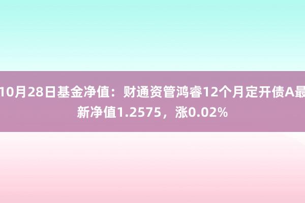 10月28日基金净值：财通资管鸿睿12个月定开债A最新净值1.2575，涨0.02%