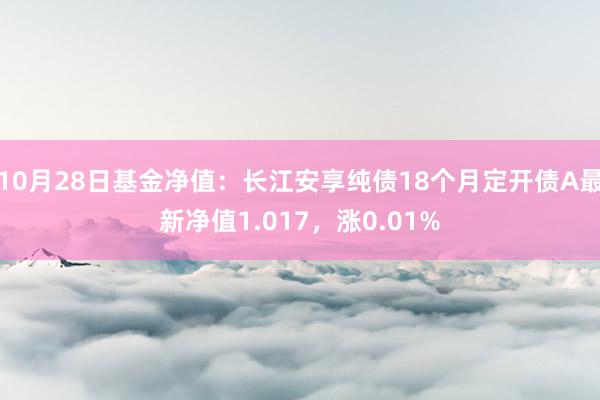 10月28日基金净值：长江安享纯债18个月定开债A最新净值1.017，涨0.01%