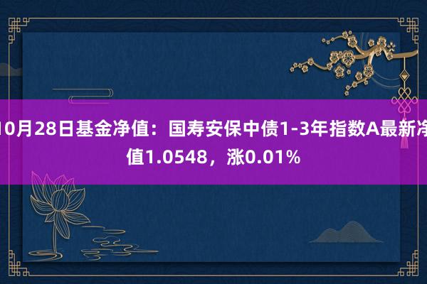 10月28日基金净值：国寿安保中债1-3年指数A最新净值1.0548，涨0.01%