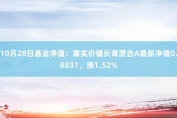 10月28日基金净值：嘉实价值长青混合A最新净值0.8831，涨1.52%