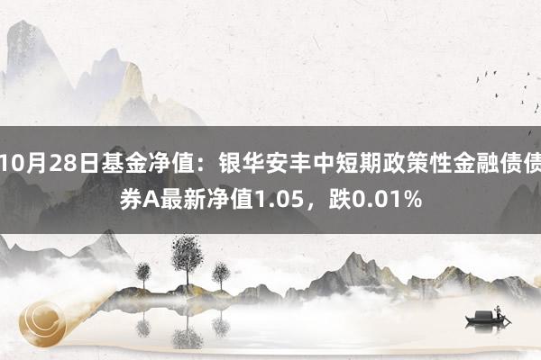 10月28日基金净值：银华安丰中短期政策性金融债债券A最新净值1.05，跌0.01%