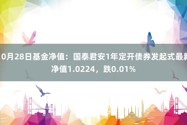 10月28日基金净值：国泰君安1年定开债券发起式最新净值1.0224，跌0.01%