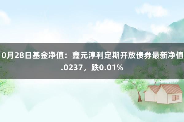 10月28日基金净值：鑫元淳利定期开放债券最新净值1.0237，跌0.01%