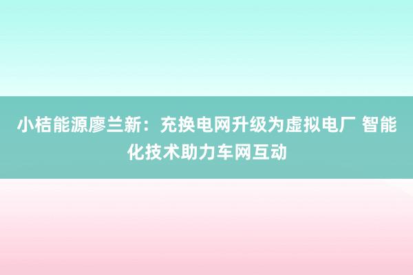 小桔能源廖兰新：充换电网升级为虚拟电厂 智能化技术助力车网互动