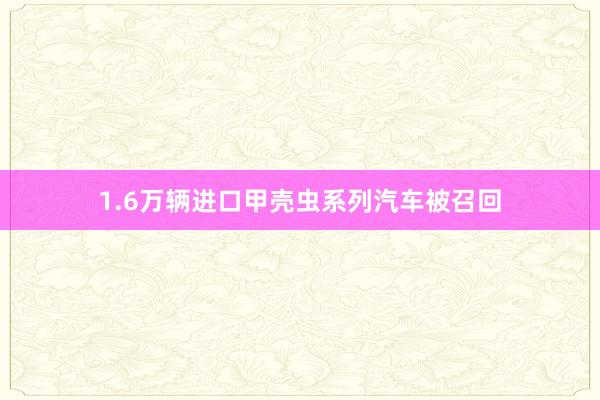 1.6万辆进口甲壳虫系列汽车被召回